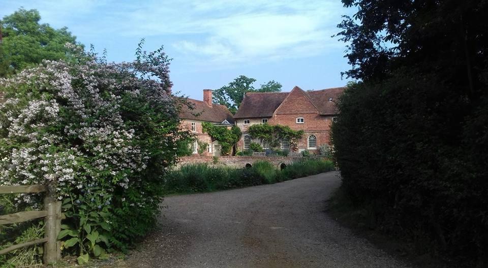 Photo of Others in Colchester