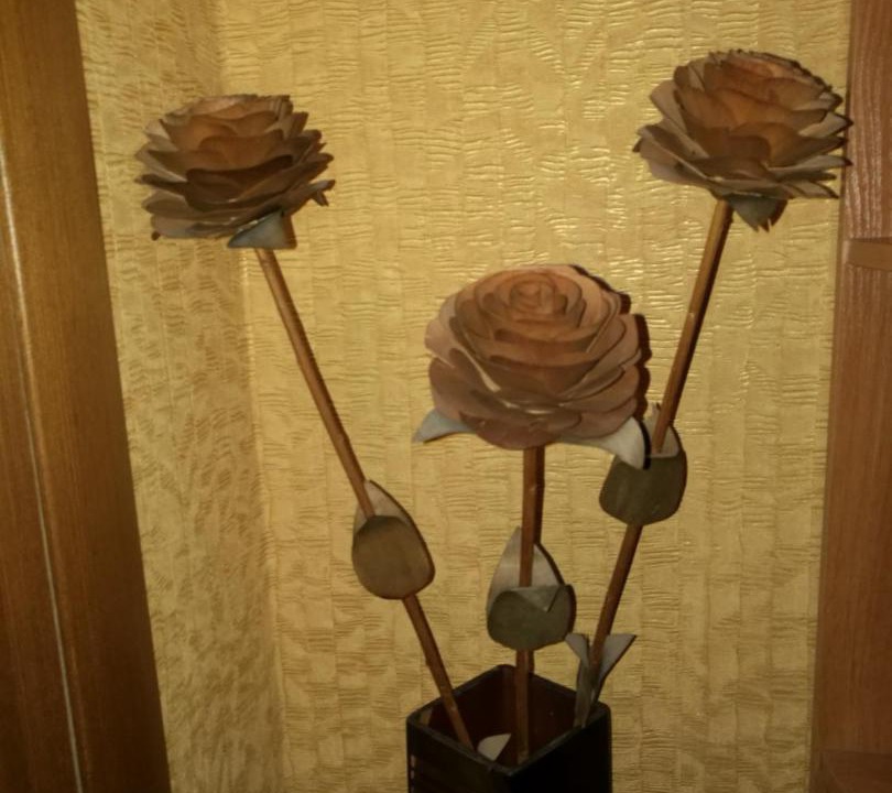 Photo of Others in Nizhniy Novgorod City Centre