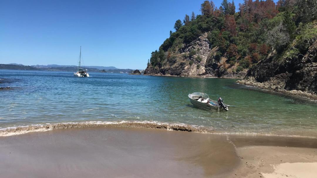 Photo of Others in Whitianga