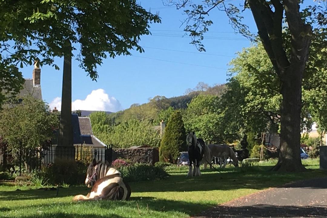 Photo of Others in Kelso