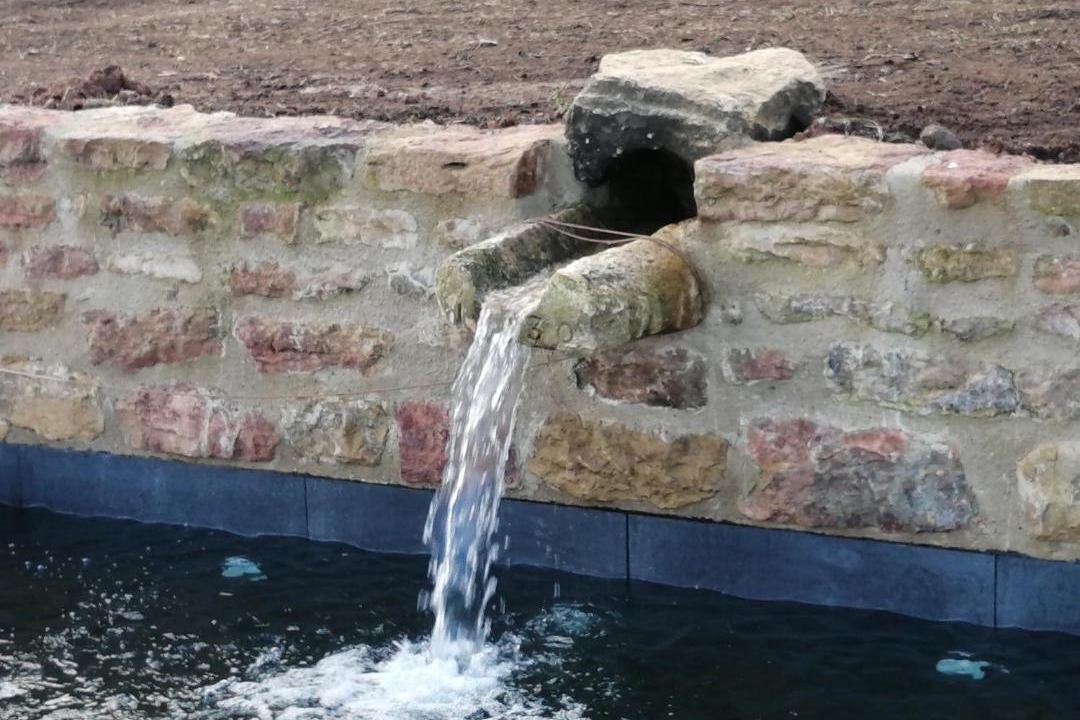 Photo of Others in Saint-Julien