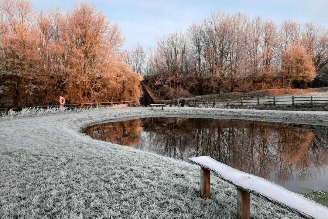 Photo of Others in Horton