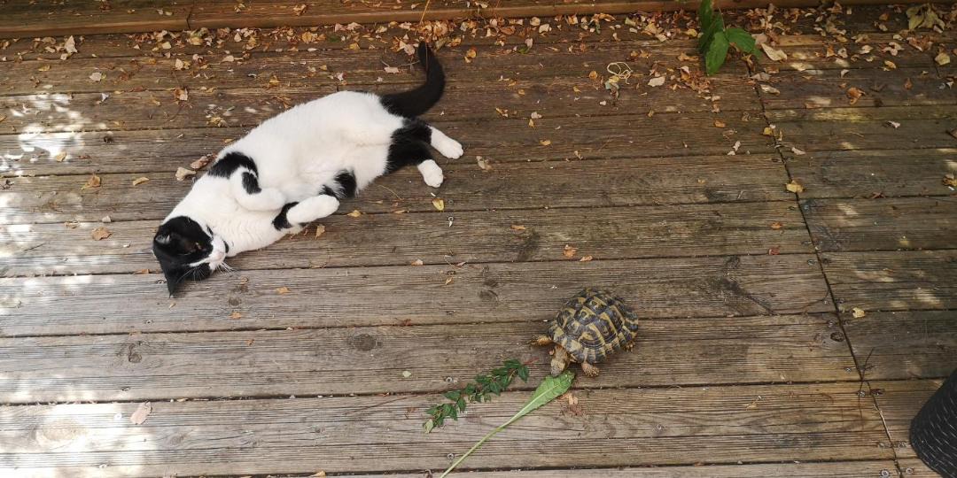 Photo of Others in Argein