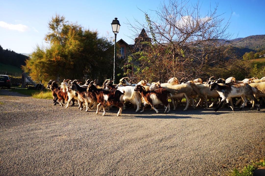 Photo of Others in Argein