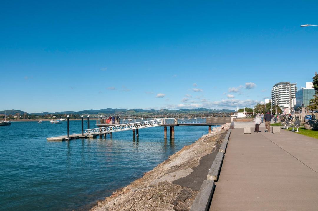 Photo of Outdoor in Tauranga South