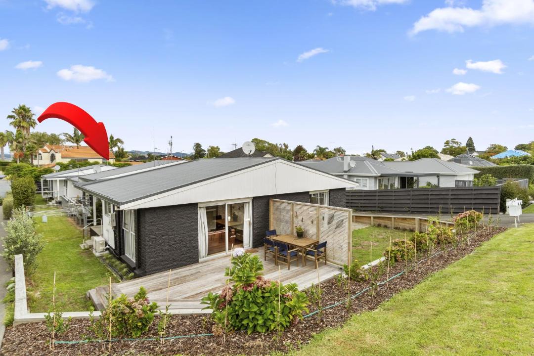 Photo of Buildings in Tauranga South