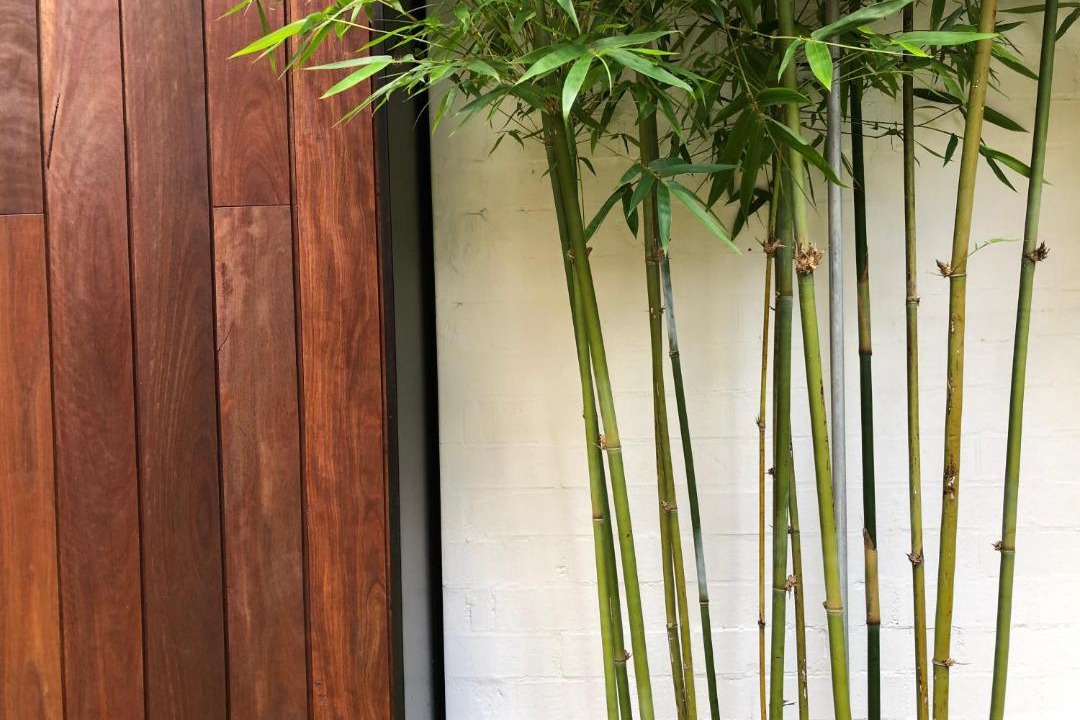 Photo of Others in Alexandria