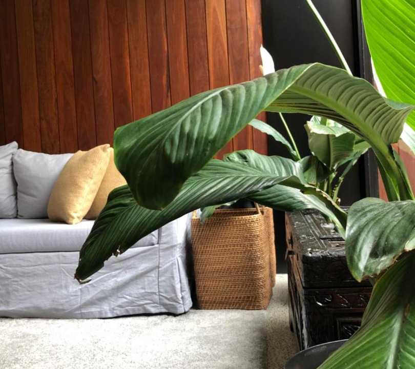 Photo of Others in Alexandria