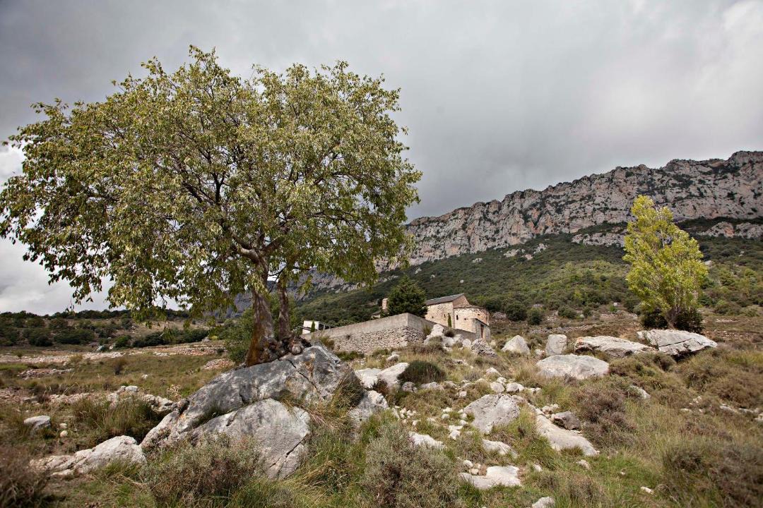 Photo of Others in Coll de Nargo