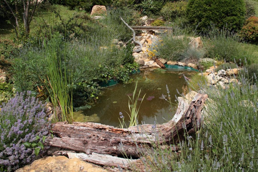 Photo of Others in L'Abergement-de-Varey