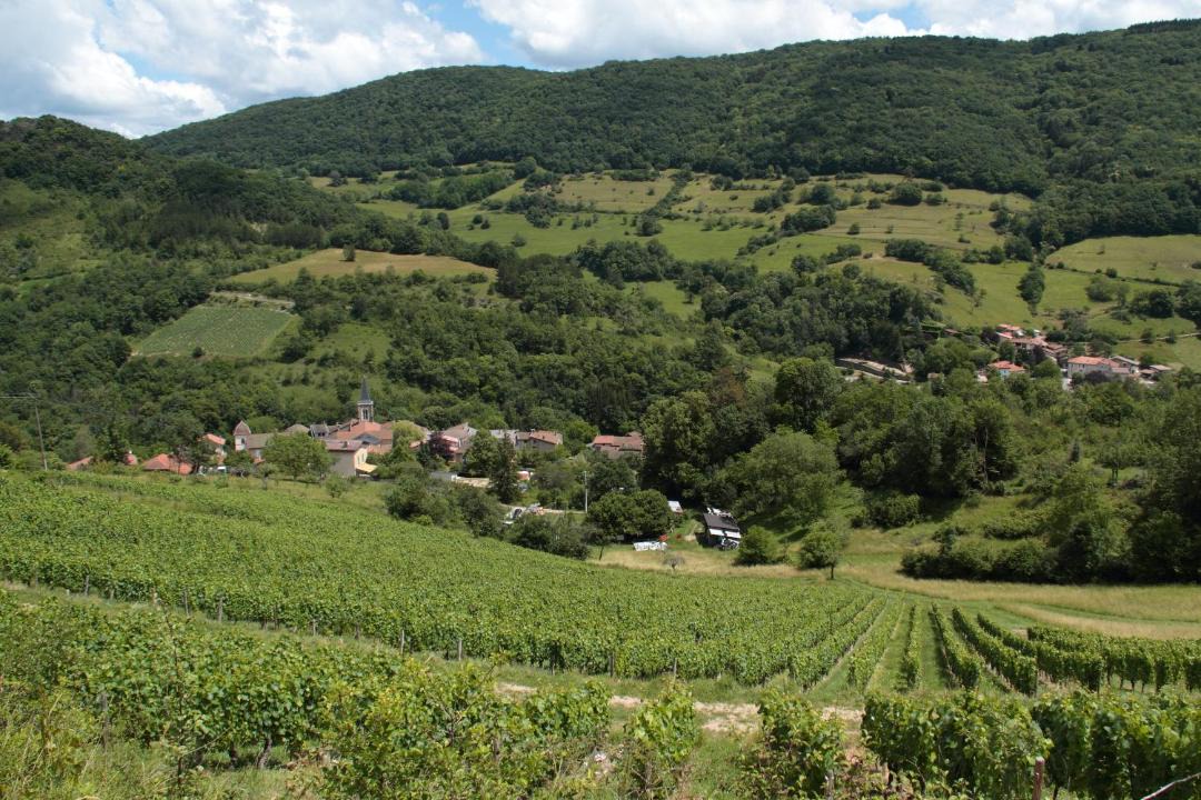 Photo of Others in L'Abergement-de-Varey