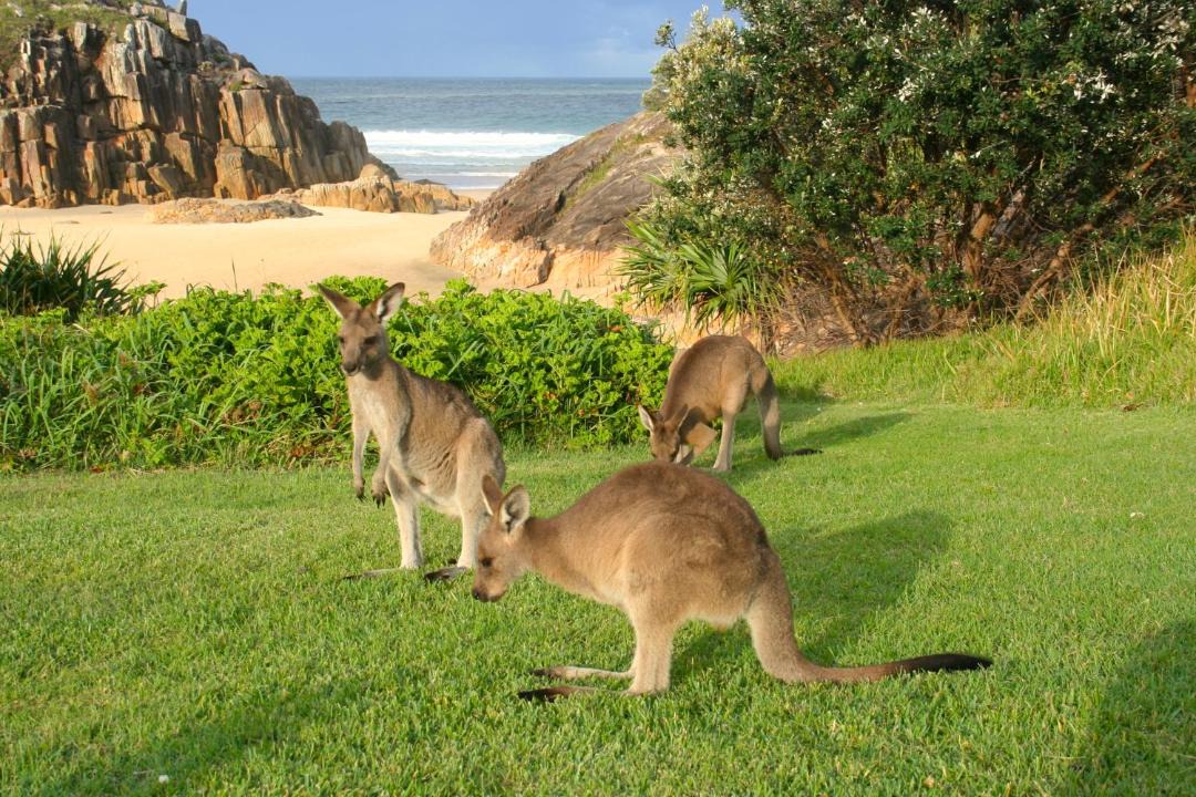 Photo of Others in Arakoon