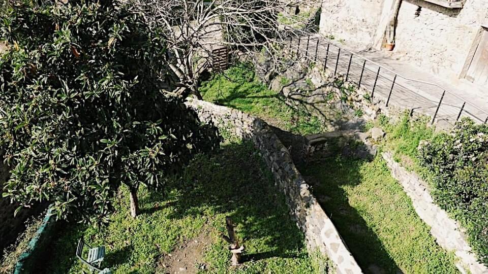 Photo of Others in Castellfollit de la Roca