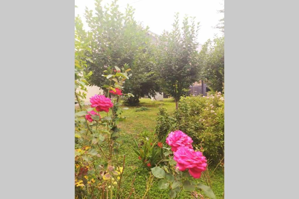 Photo of Outdoor in Seliste