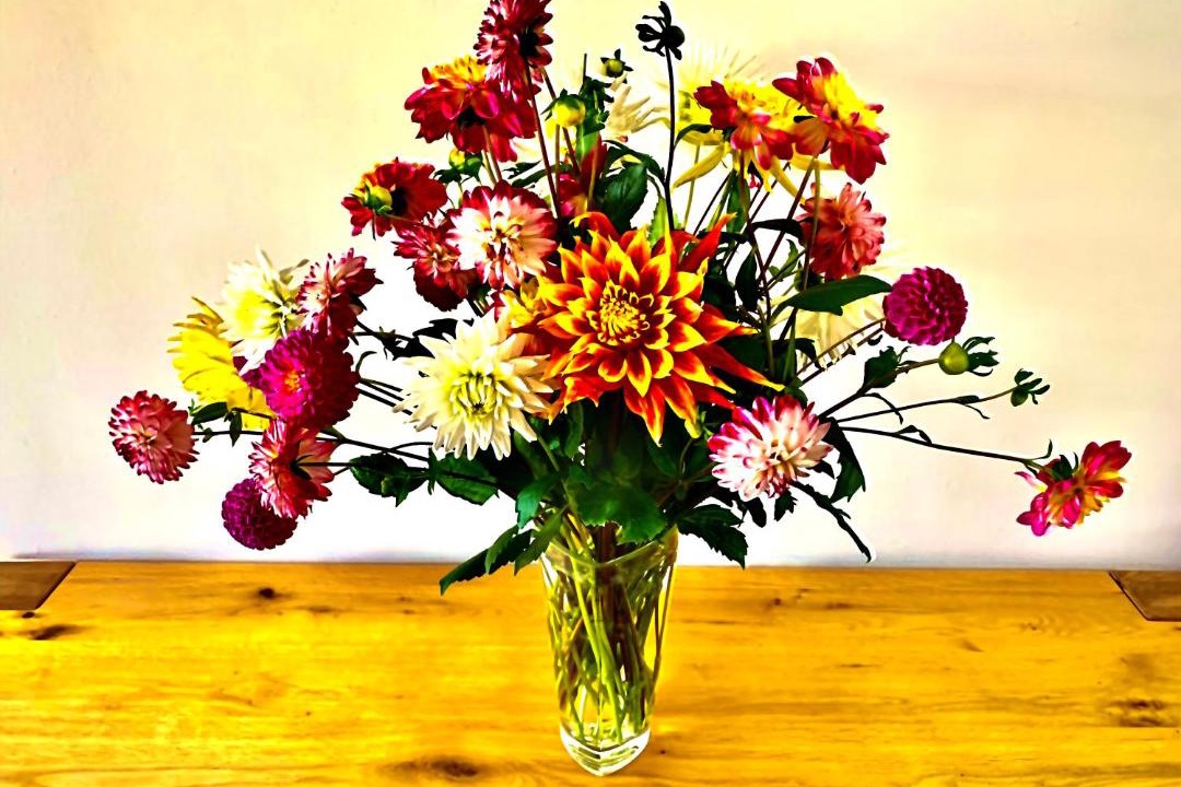 Photo of Others in Taynuilt