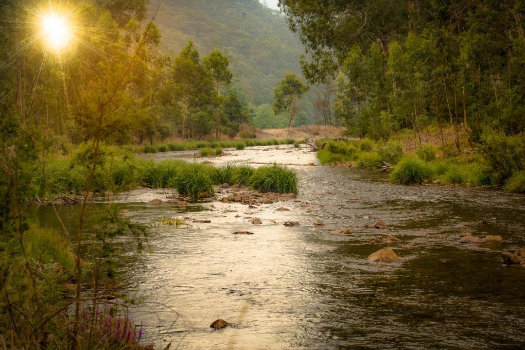 Photo of Others in Cheshunt