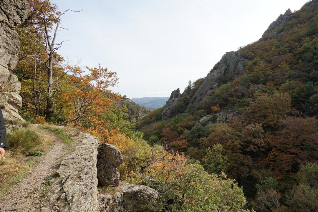 Photo of Others in Premian