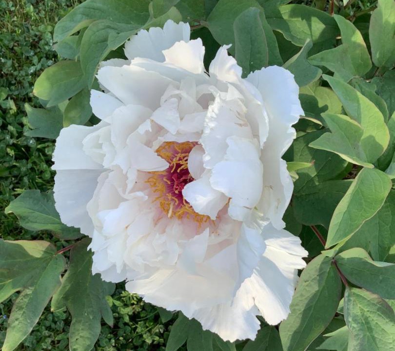 Photo of Others in Saint-Julien