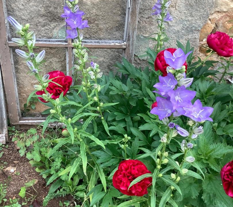 Photo of Others in Saint-Julien