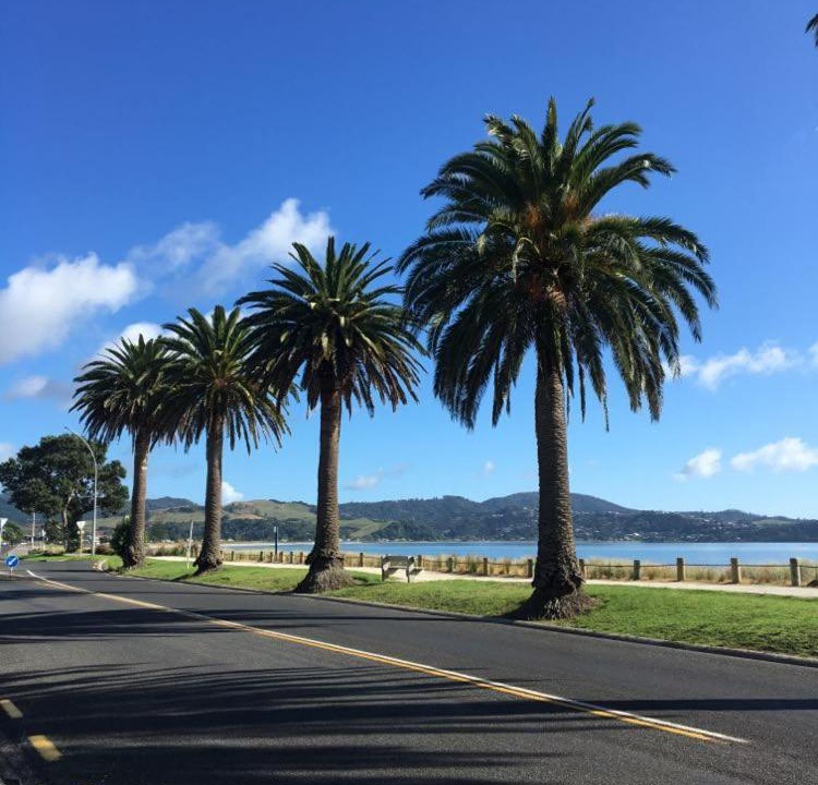 Photo of Outdoor in Whitianga