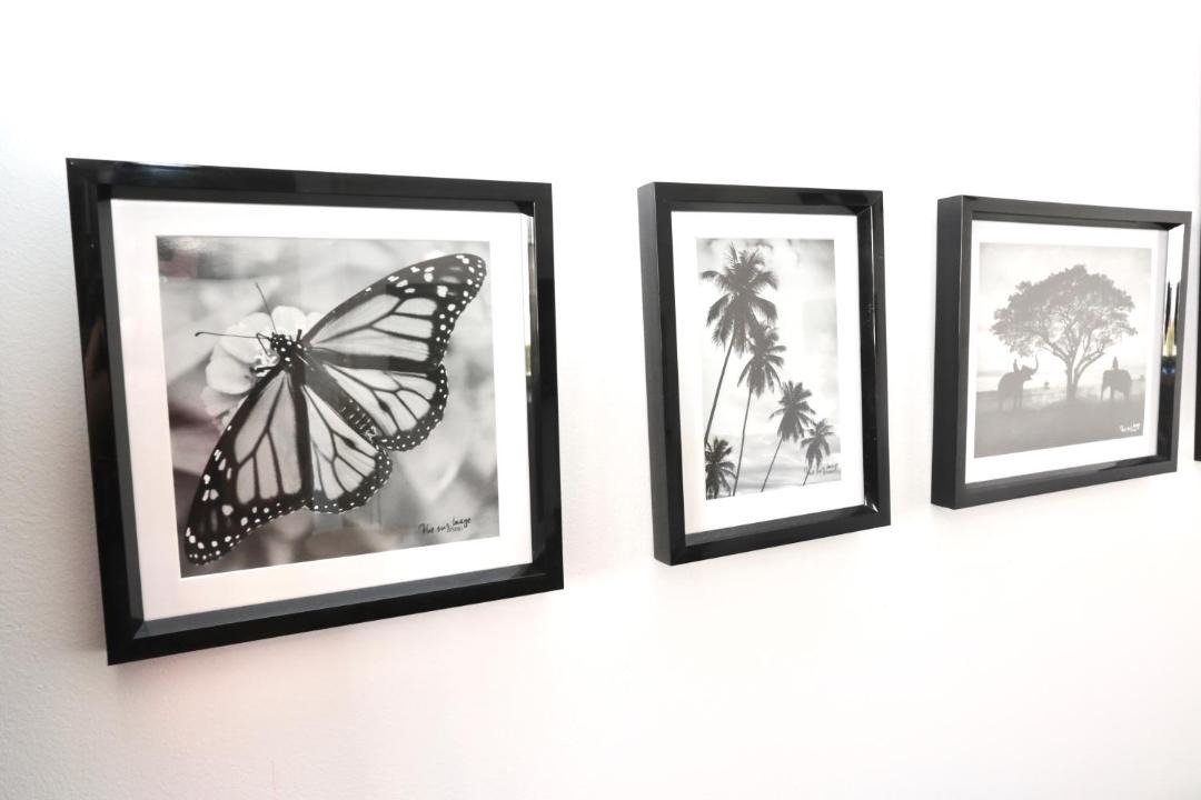 Photo of Others in Larmor-Plage