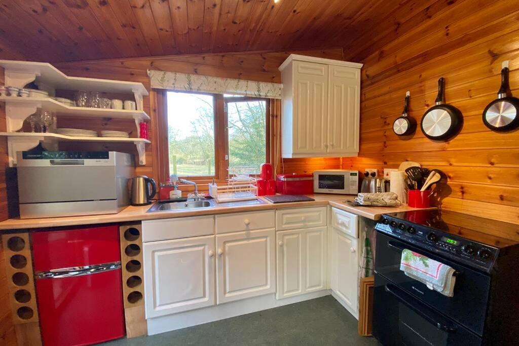Photo of Kitchen in New Forest District