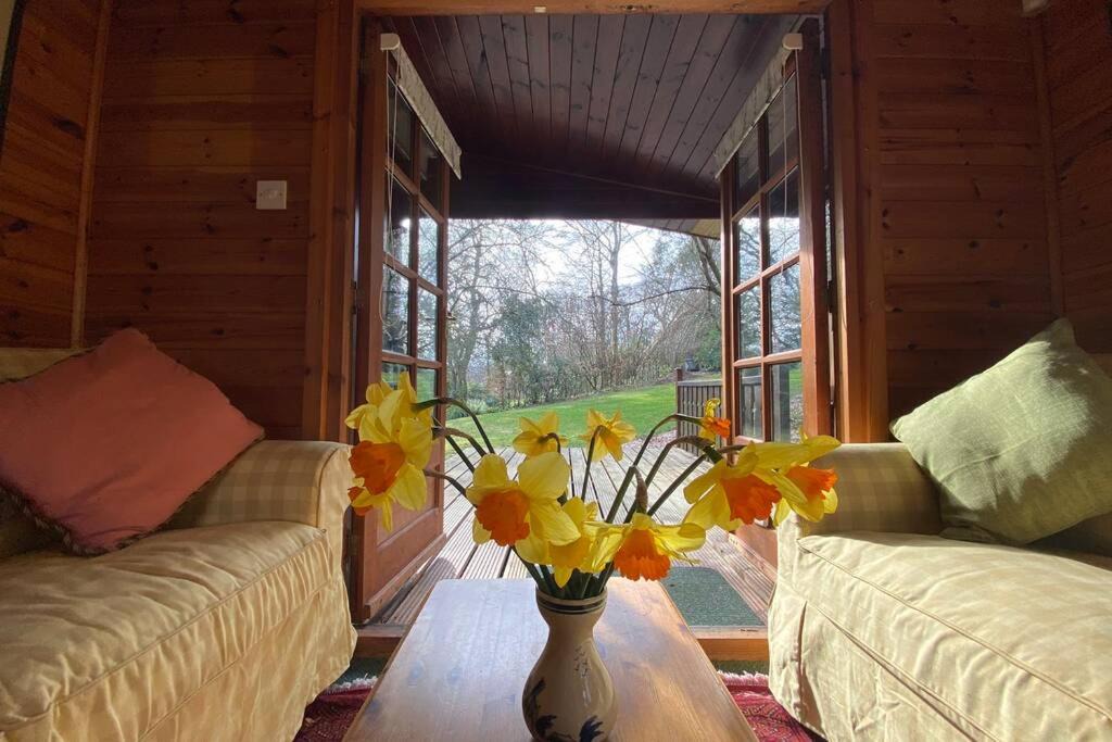 Photo of Livingroom in New Forest District