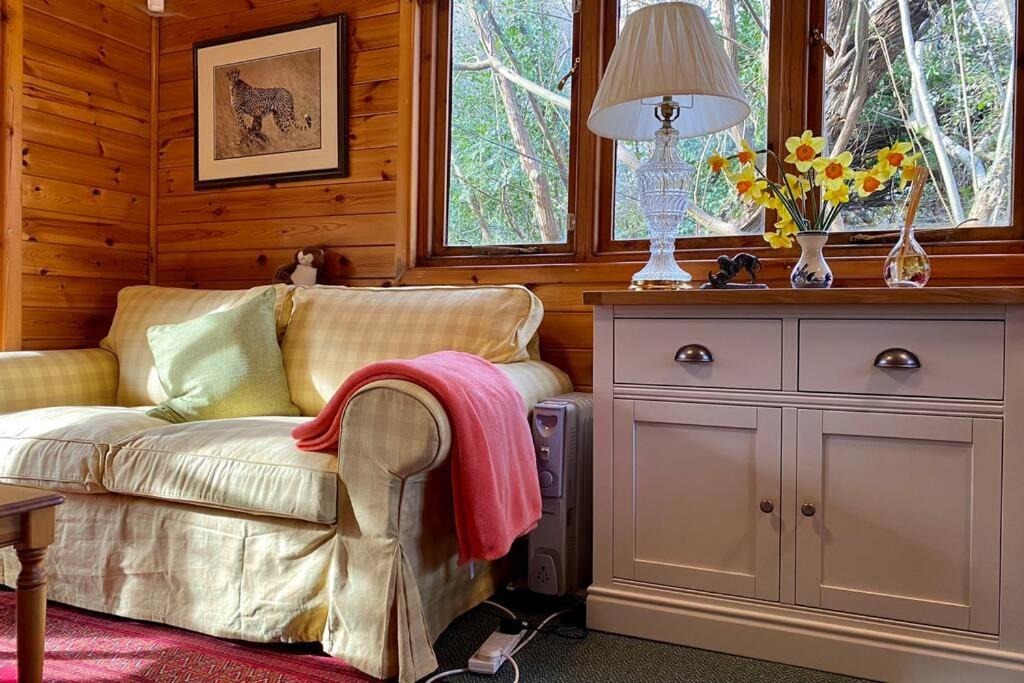 Photo of Others in New Forest District