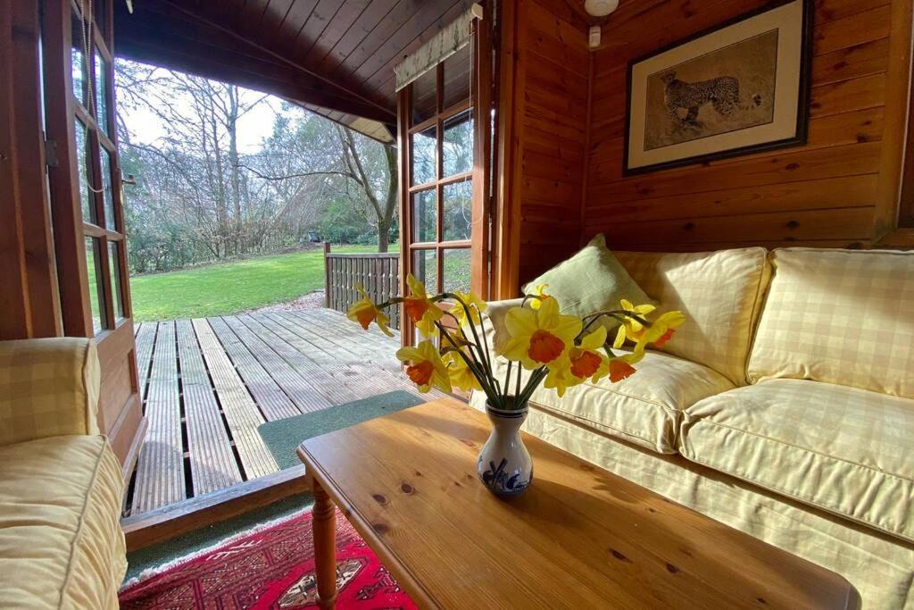 Photo of Livingroom in New Forest District