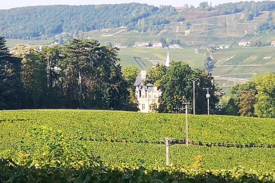 Photo of Others in Boursault