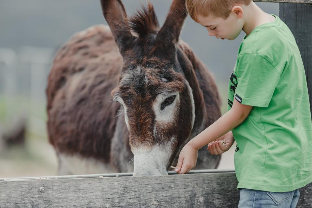 Photo of Others in Kangaroo Valley