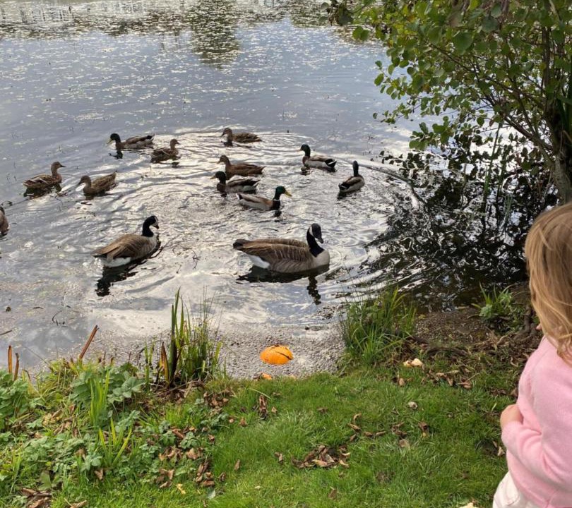 Photo of Others in South Cerney