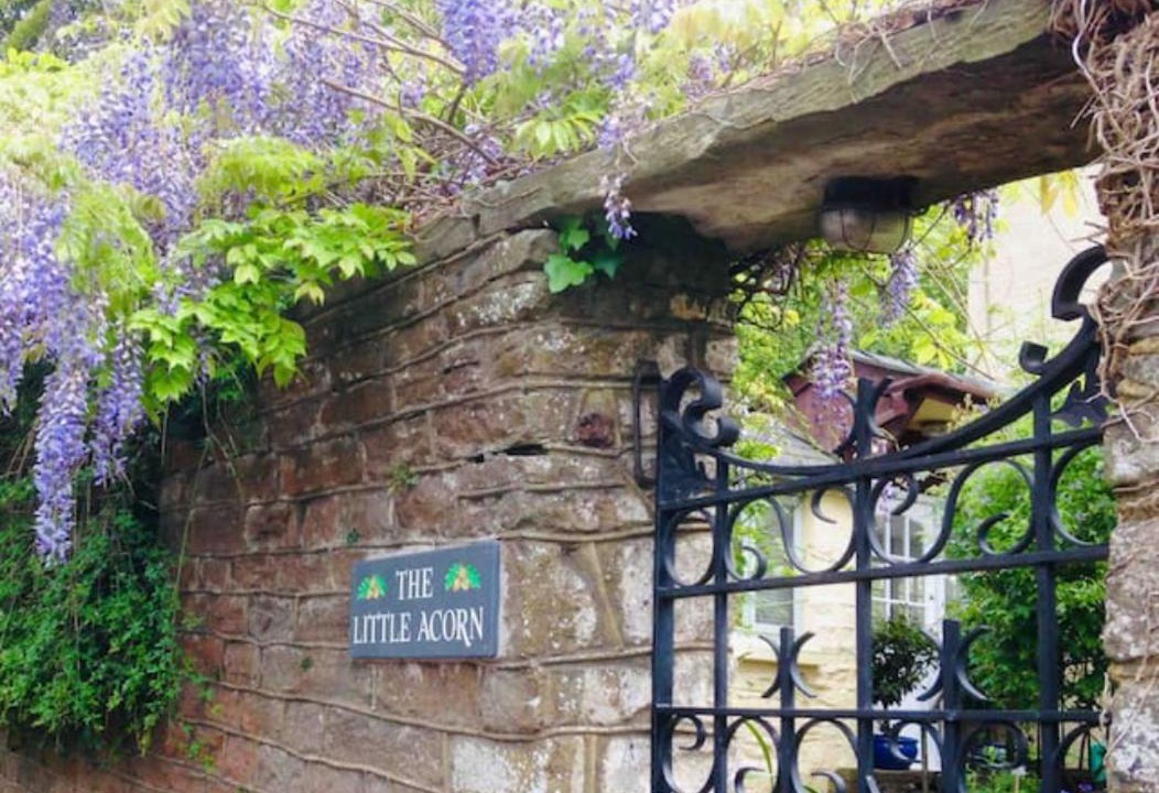 Photo of Others in Parkend