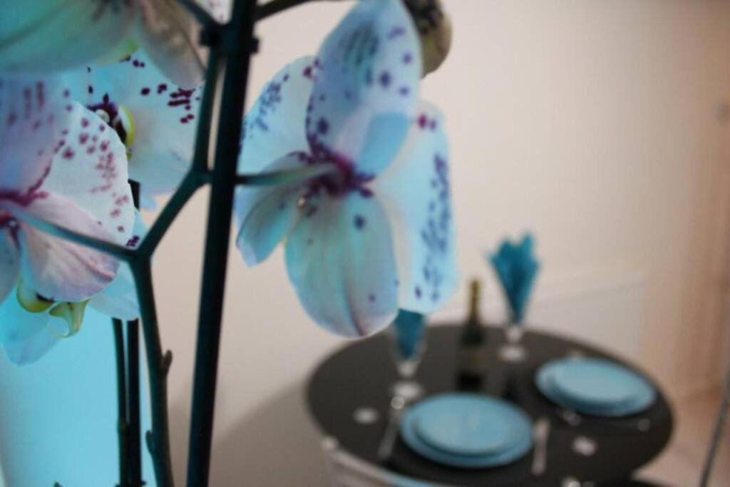 Photo of Others in Parkend