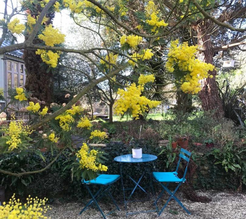 Photo of Others in Ver-sur-Mer