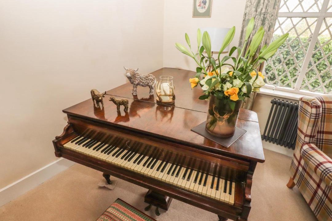 Photo of Others in Felton