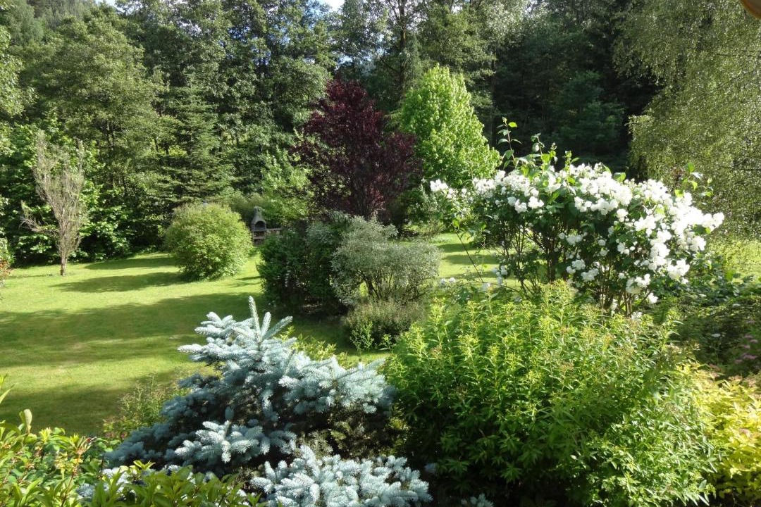 Photo of Others in Wangenbourg-Engenthal