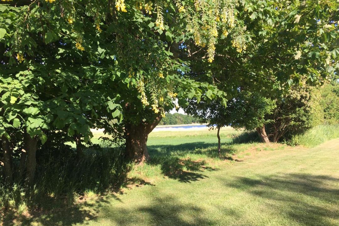 Photo of Outdoor in Praesto
