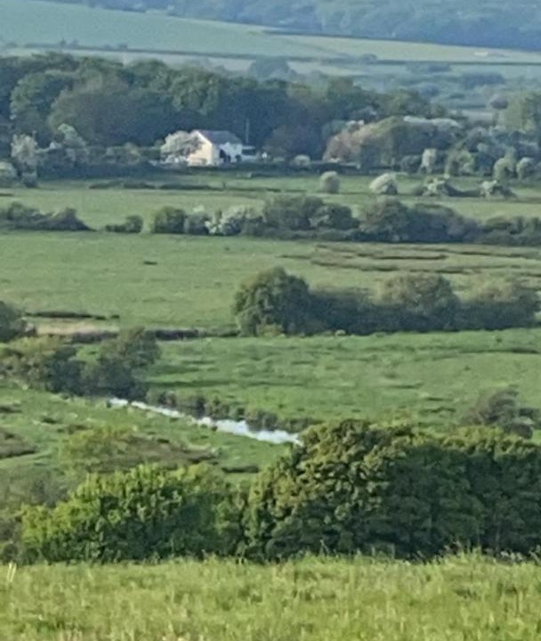 Photo of Others in Brading