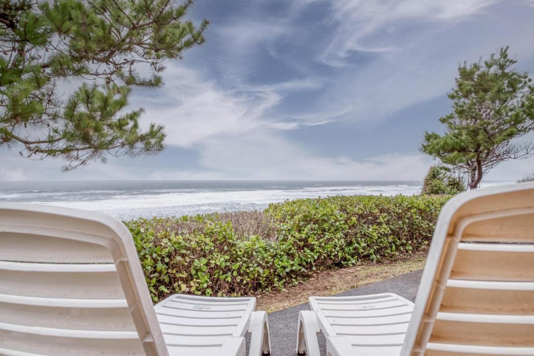 Photo of Others in Seal Rock