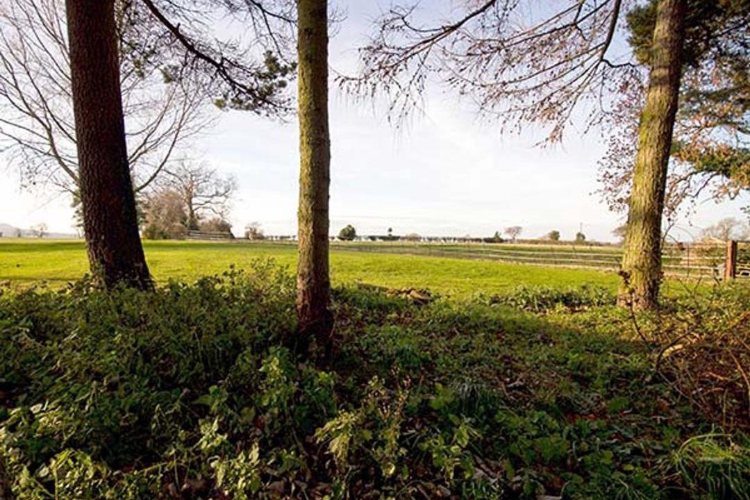 Photo of Others in Carlton-in-Cleveland