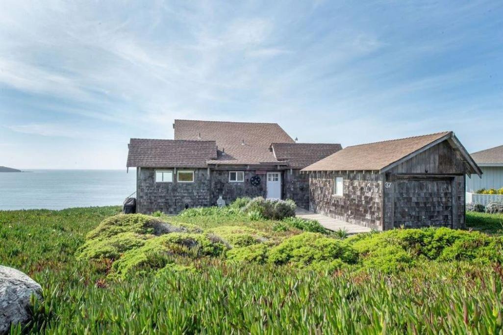 Photo of Others in Dillon Beach
