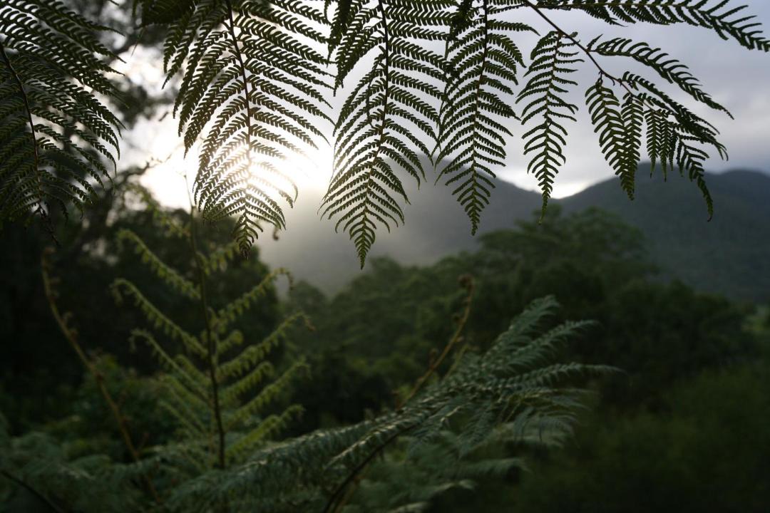 Photo of Others in Limpinwood