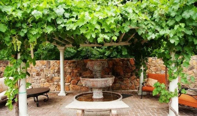 Photo of Others in Deer Park