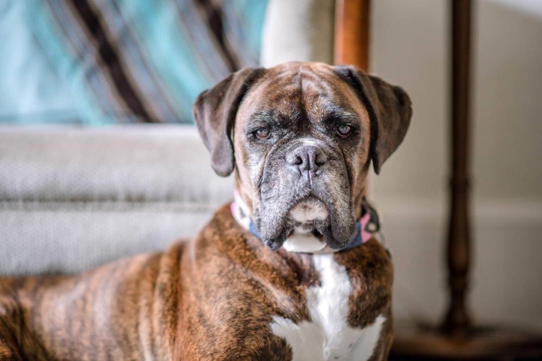 Photo of Others in Walberswick
