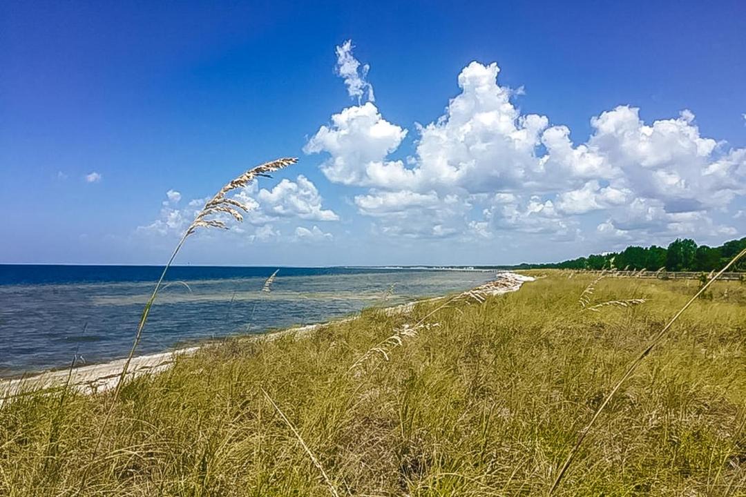 Photo of Others in Port St. Joe