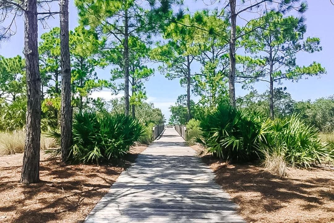 Photo of Others in Port St. Joe