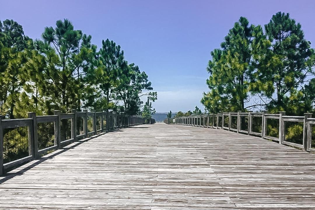 Photo of Others in Port St. Joe