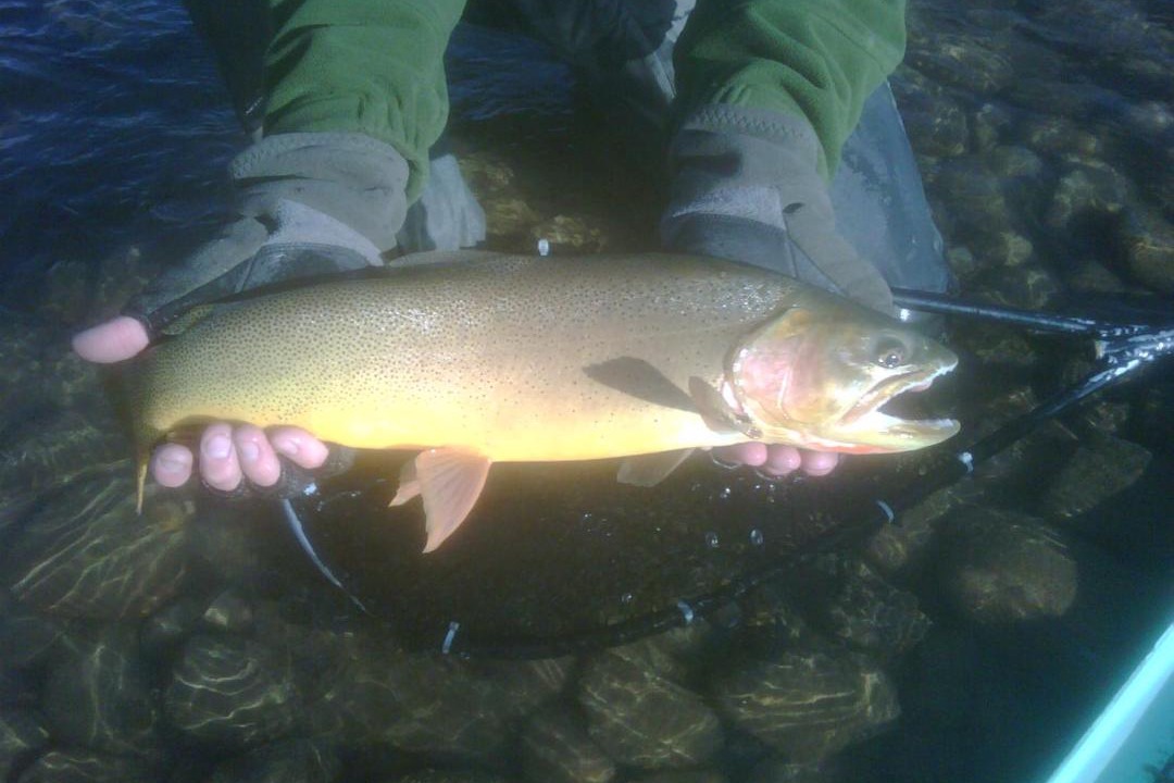 Photo of Others in Spring Creek Ranch