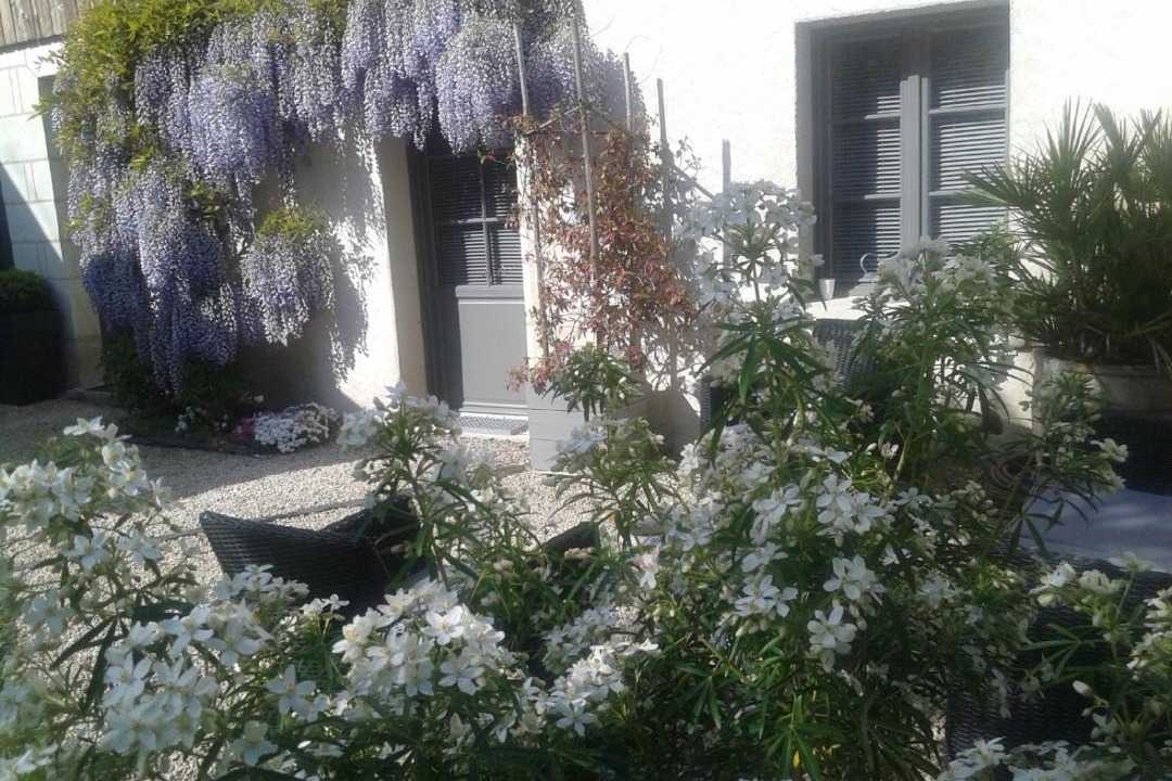 Photo of Others in Bourgueil